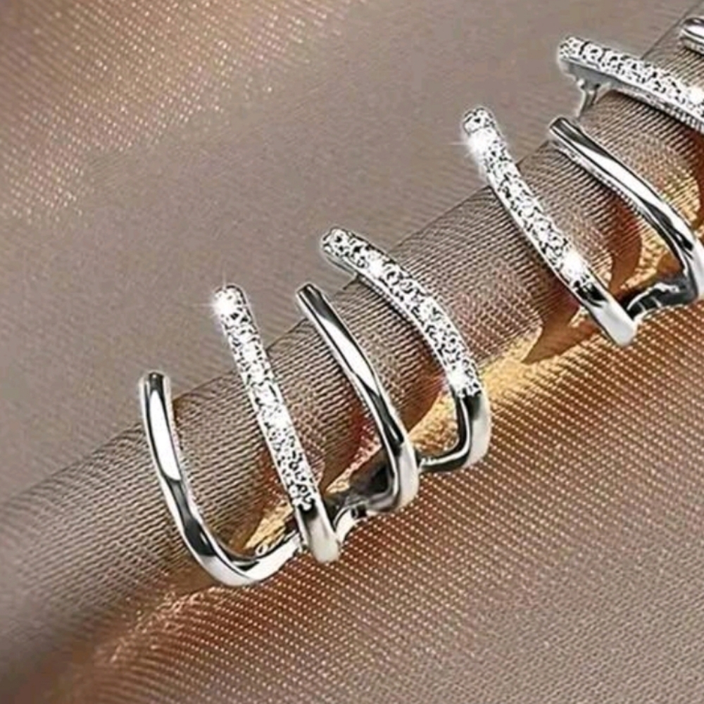 Silver Arc-Shaped Claw Earrings